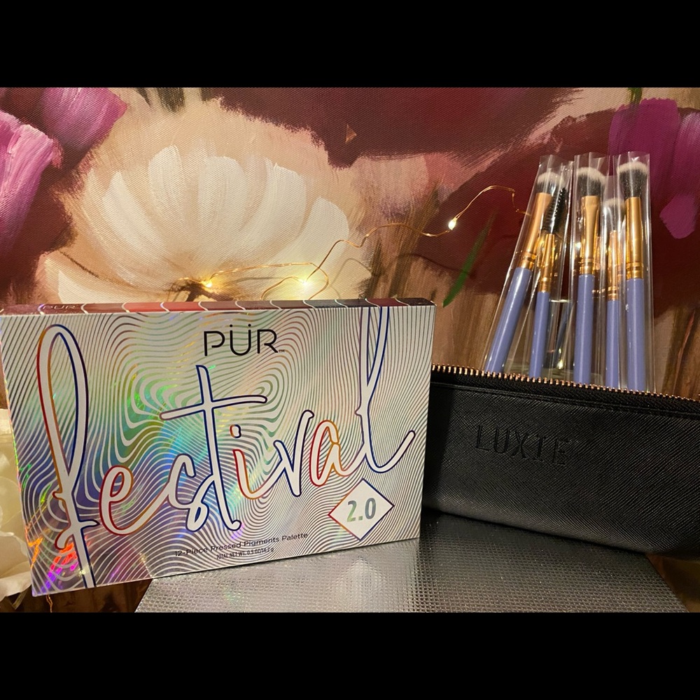 Palette + 5pc brushes + bag